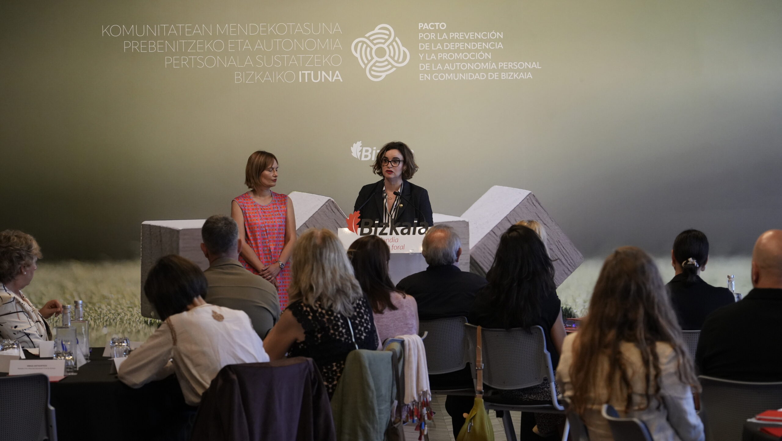 pv-bizkaia-pacto-dependencia-noticia-entremayores