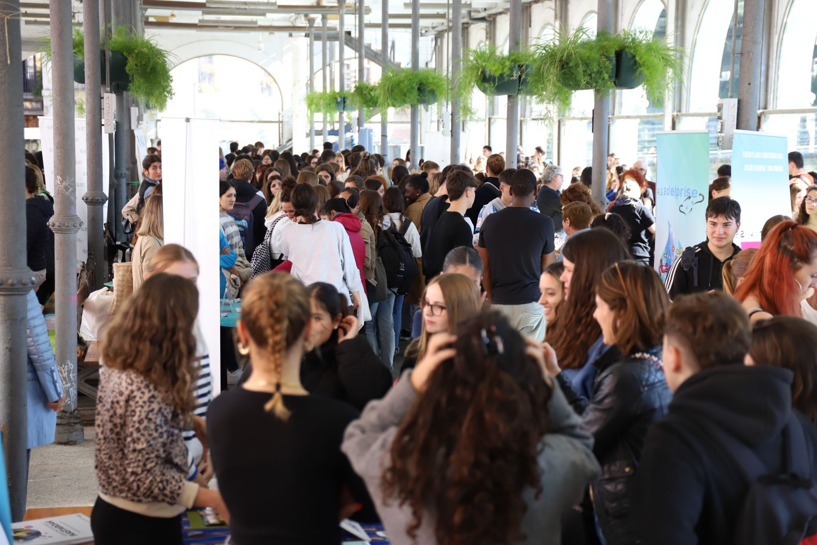 pv-tolosa-feria-voluntariado-noticia-entremayores