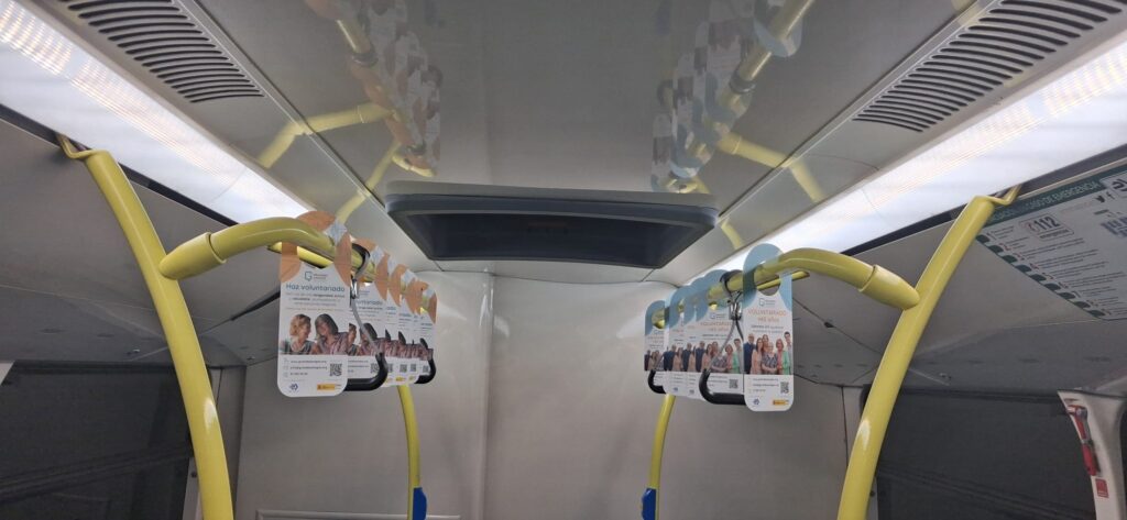 Autobuses